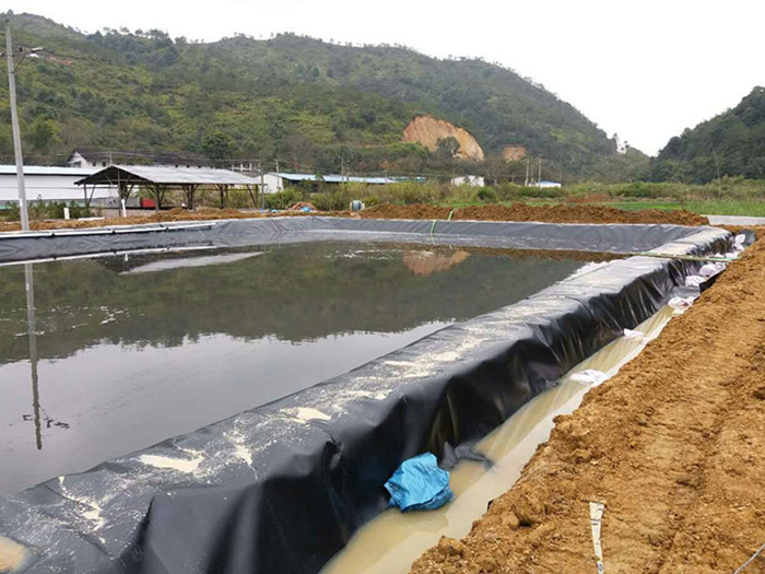 魚(yú)塘里用土工膜做防滲層需不需要回填土壤？